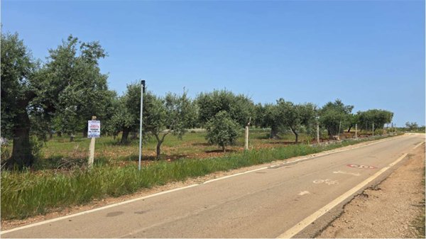 terreno agricolo in vendita a Conversano