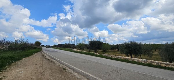 terreno edificabile in vendita a Conversano