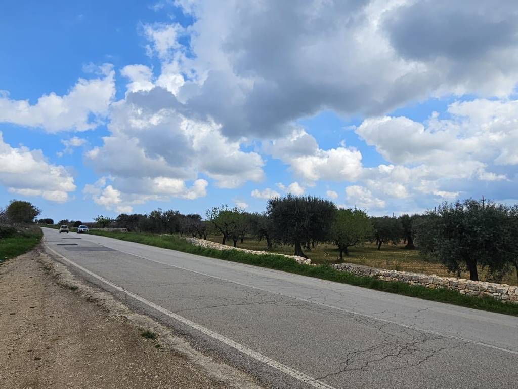 terreno agricolo in vendita a Conversano