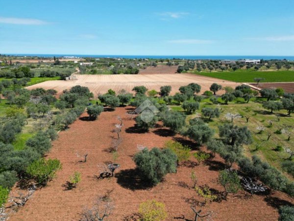 casale in vendita a Conversano