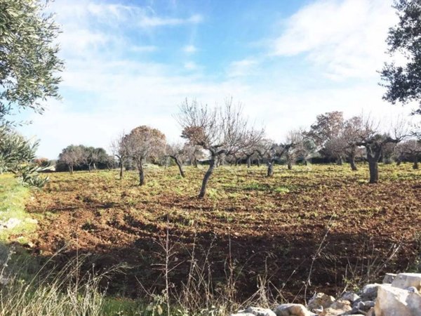 terreno agricolo in vendita a Conversano
