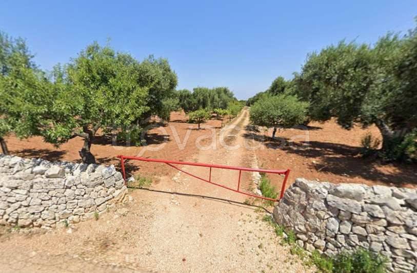 appartamento in vendita a Conversano