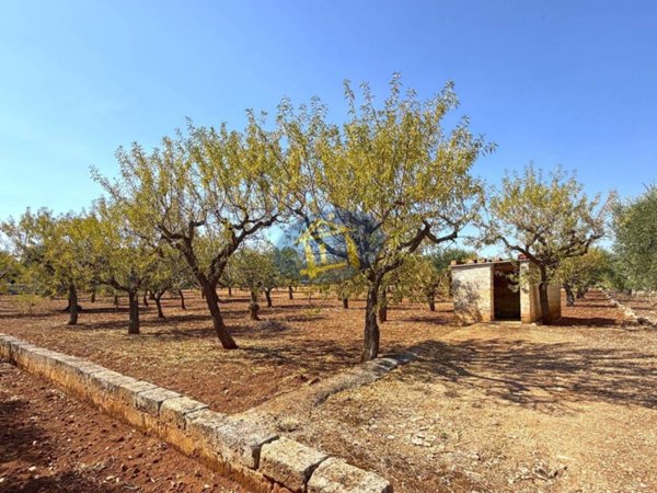 terreno agricolo in vendita a Conversano