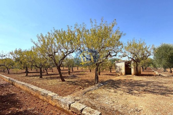 casa indipendente in vendita a Conversano