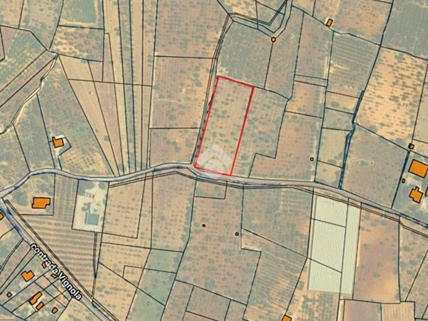 terreno agricolo in vendita a Conversano