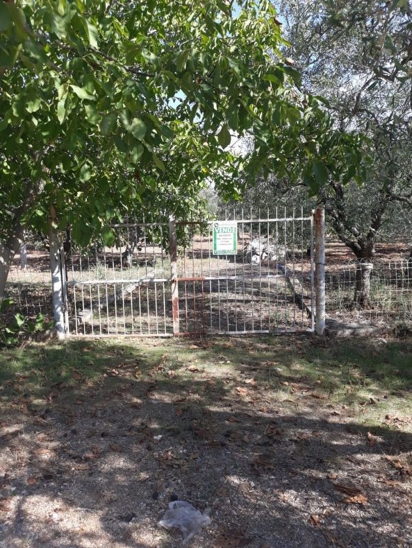 terreno agricolo in vendita a Corato