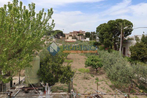 appartamento in vendita a Corato