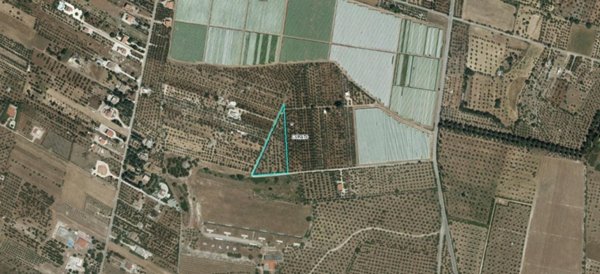 terreno agricolo in vendita a Corato