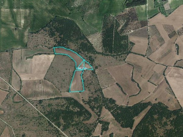 terreno agricolo in vendita a Corato
