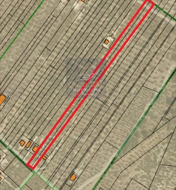 terreno agricolo in vendita a Corato in zona Oasi di Nazareth
