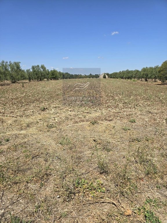 terreno agricolo in vendita a Corato in zona Oasi di Nazareth