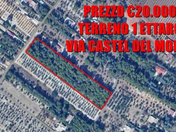 terreno agricolo in vendita a Corato