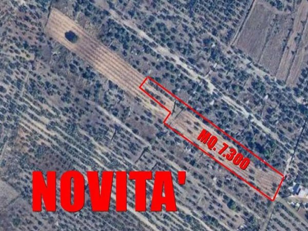 terreno agricolo in vendita a Corato