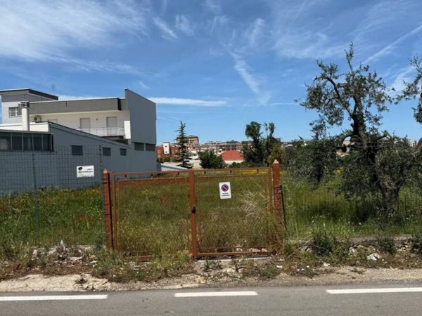 terreno agricolo in vendita a Corato