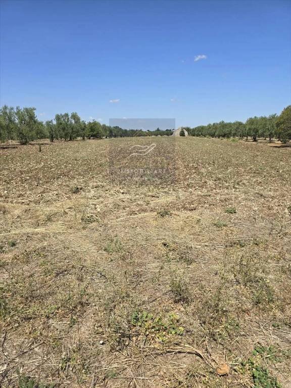 terreno agricolo in vendita a Corato