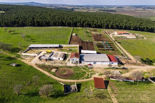 casa indipendente in vendita a Corato