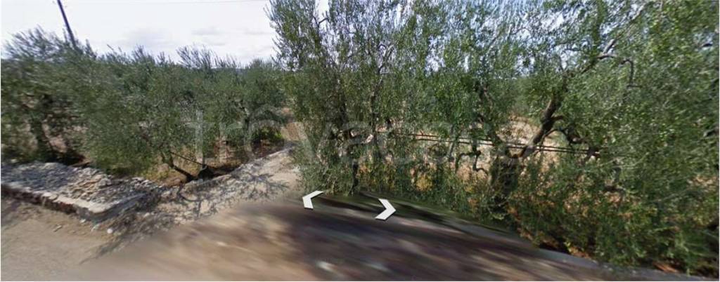 appartamento in vendita a Corato