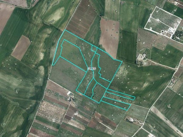 terreno agricolo in vendita a Corato