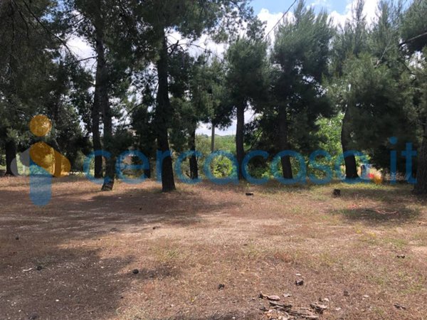 terreno agricolo in vendita a Corato