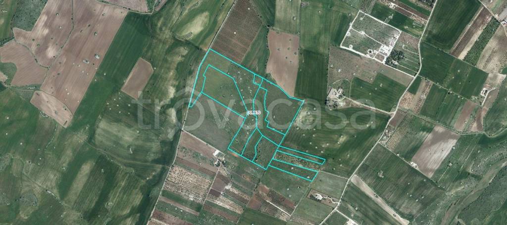 terreno agricolo in vendita a Corato