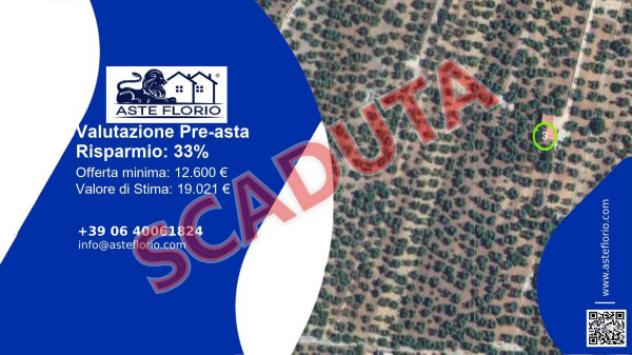 terreno agricolo in vendita a Corato