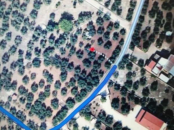 terreno agricolo in vendita a Corato