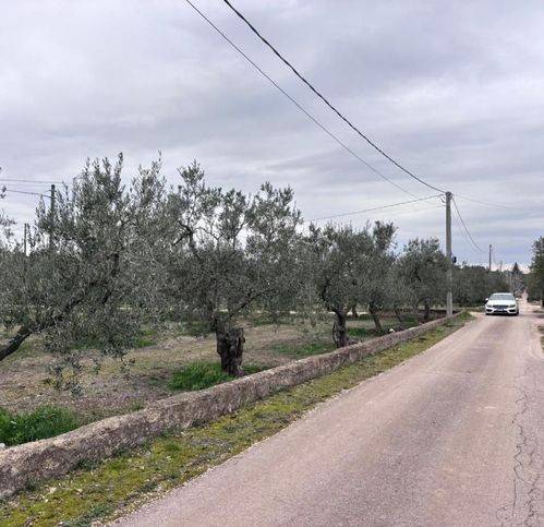 casa indipendente in vendita a Corato in zona Oasi di Nazareth