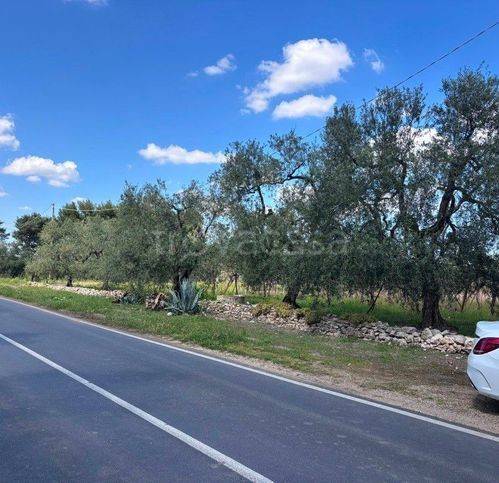 casa indipendente in vendita a Corato