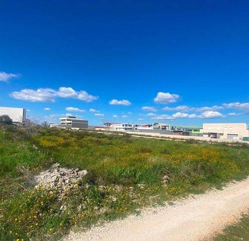 terreno agricolo in vendita a Corato