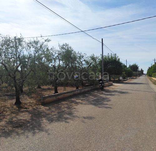 casa indipendente in vendita a Corato