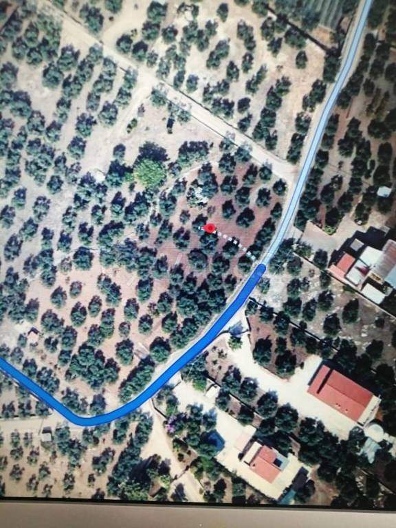 terreno agricolo in vendita a Corato