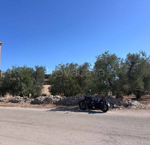 terreno agricolo in vendita a Corato
