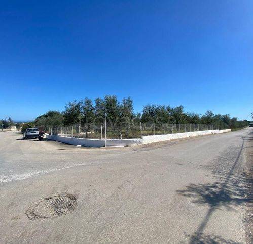 terreno agricolo in vendita a Corato