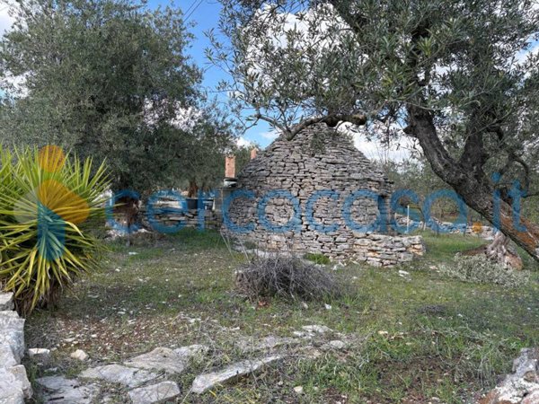terreno agricolo in vendita a Corato