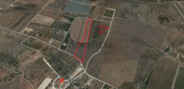 terreno agricolo in vendita a Corato