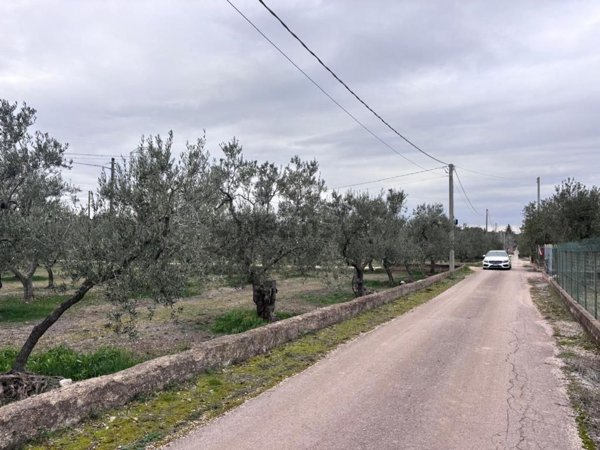 casa indipendente in vendita a Corato in zona Oasi di Nazareth