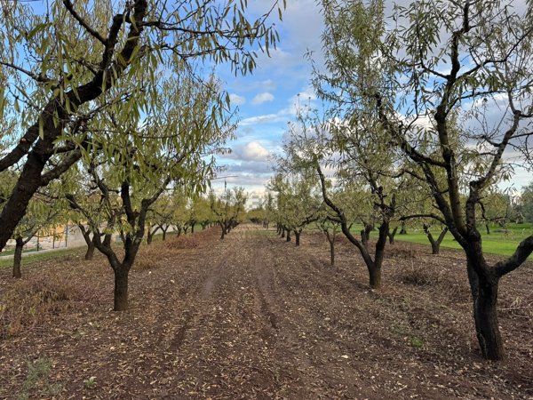 casa indipendente in vendita a Corato