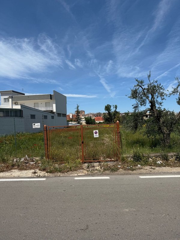 terreno agricolo in vendita a Corato