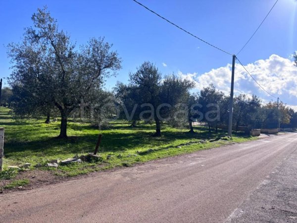 casa indipendente in vendita a Corato