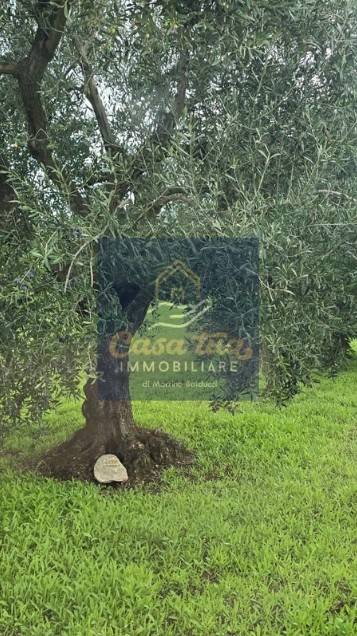 casa indipendente in vendita a Corato