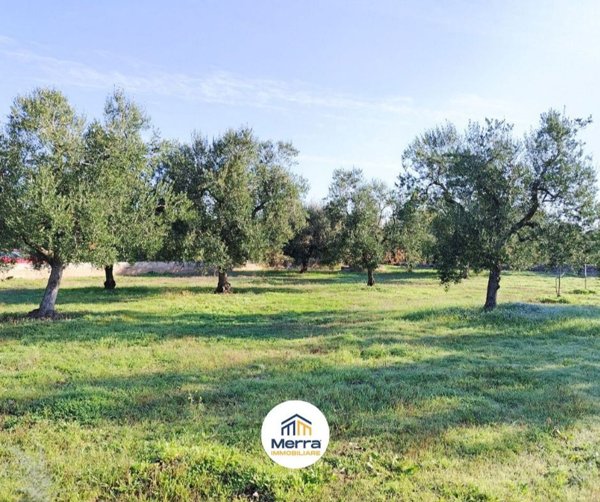 terreno agricolo in vendita a Corato