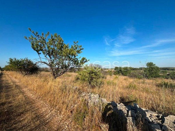terreno agricolo in vendita a Corato