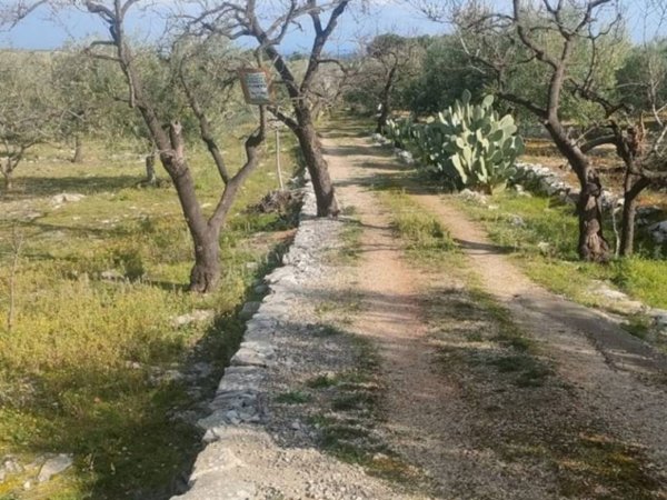 terreno agricolo in vendita a Corato