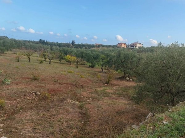 terreno agricolo in vendita a Corato