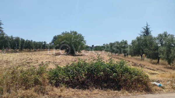 casa indipendente in vendita a Corato in zona Murgetta