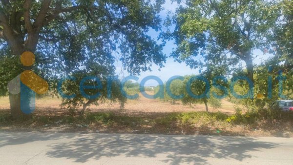 terreno agricolo in vendita a Corato