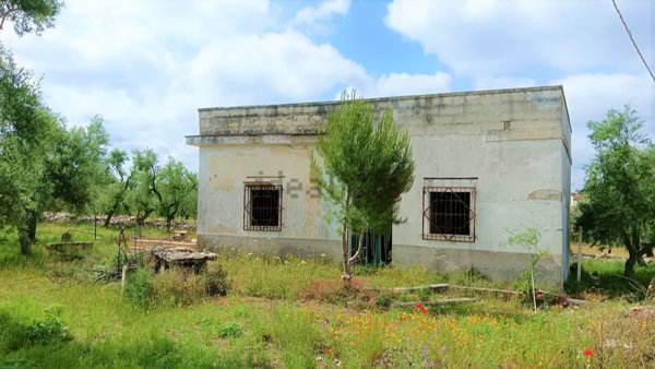 casa indipendente in vendita a Corato