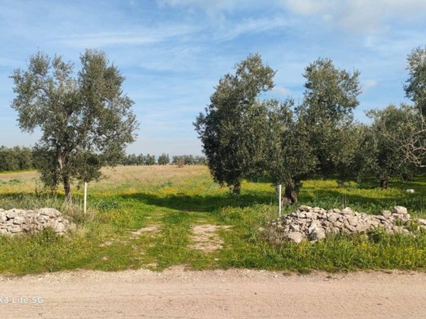 terreno agricolo in vendita a Corato