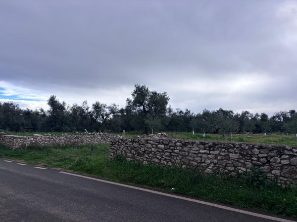 casa indipendente in vendita a Corato
