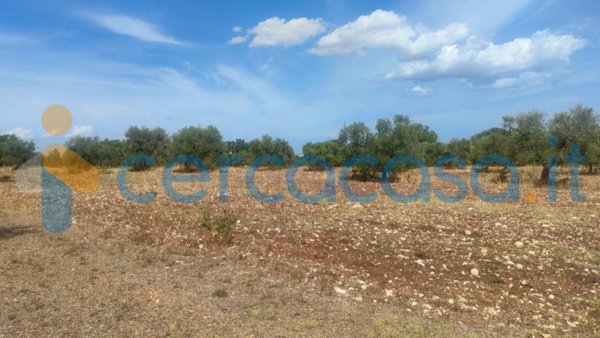terreno agricolo in vendita a Corato